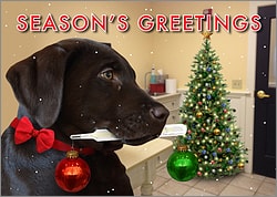 Puppy Patient Christmas Card