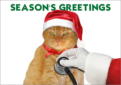 Veterinarian Cat Greeting Card (Glossy White) 