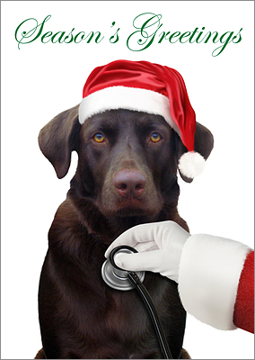 Veterinarian Christmas Card (Glossy White) 