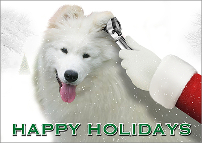 Veterinarian Exam Holiday Card (Glossy White) 