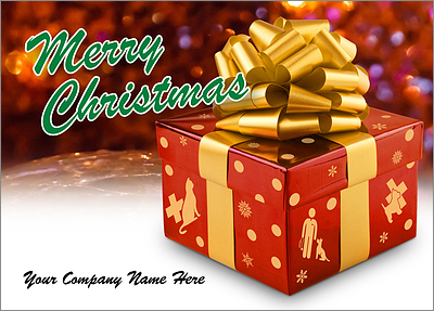 Veterinary Christmas Gift (Glossy White) 