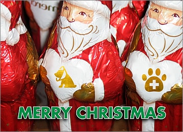 Veterinary Santas Card