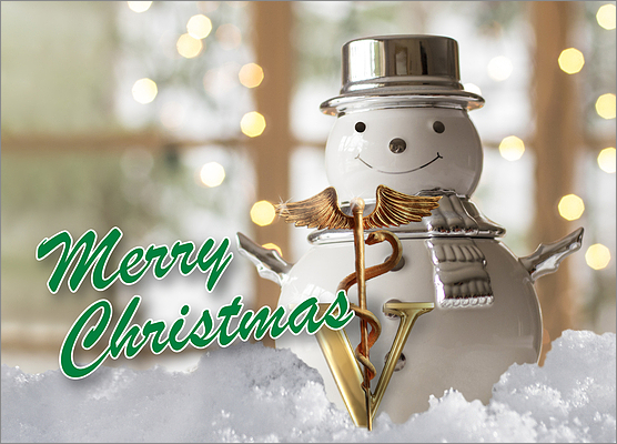 Veterinary Snowman Holiday Card (Glossy White) 